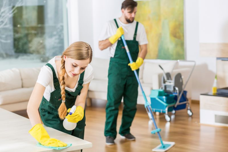 Basement Vacuuming in Renton, WA